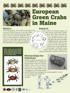 Green Crab poster